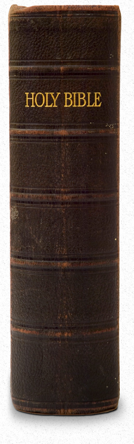 Holy Bible